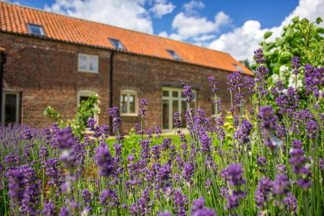 Shakespeare Cottage