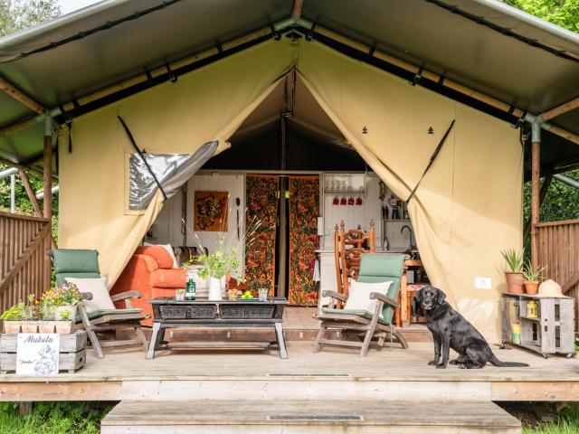 Black Pig Retreats Luxury Glamping