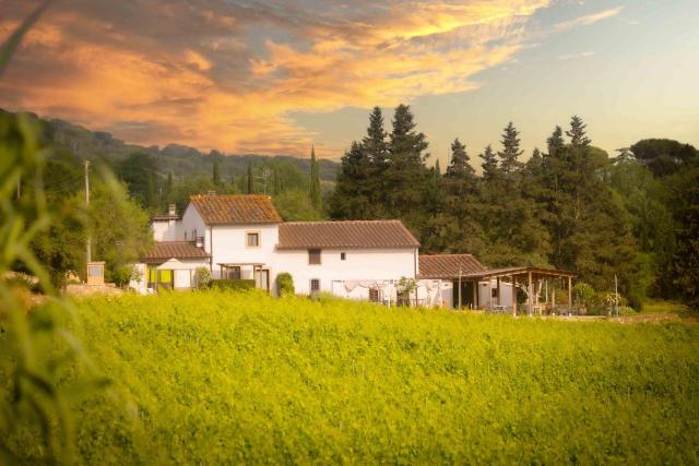 Azienda Agricola I Colli di Marliano