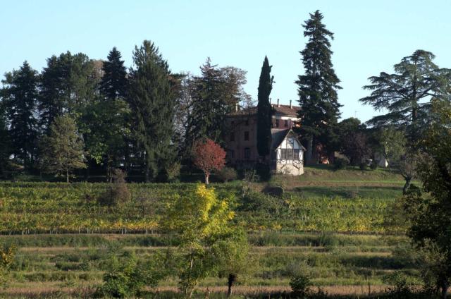 Casali del Picchio - Winery