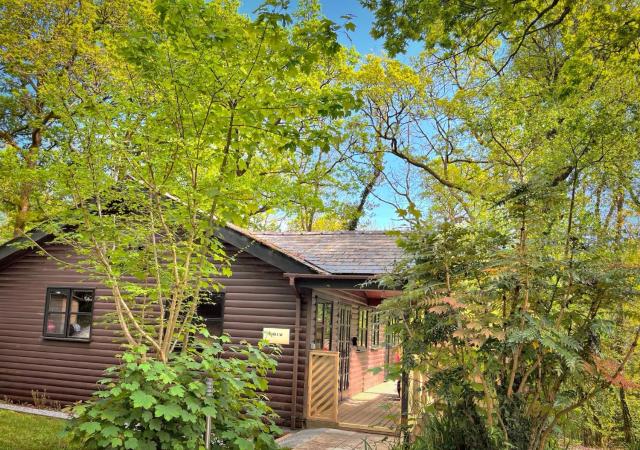 Shrew Lodge-woodland Lodges-Hot Tub-Pembrokeshire-Tenby