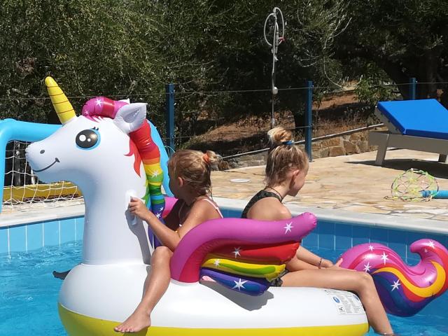 Hakuna Matata Holidays Agalia with airco & pool in Greek Olive Grove