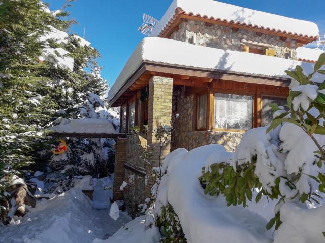 Livadi Chalet Arachova The perfect family vacation