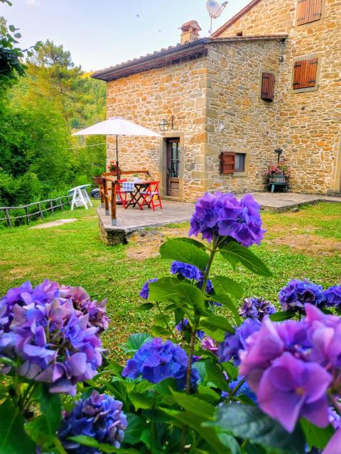 Appartamento in casa colonica " il Casale del Mulino"