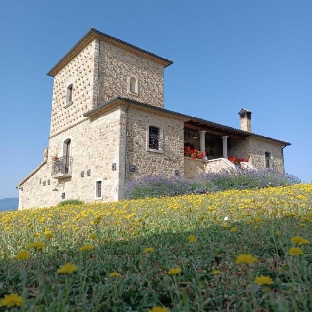 Agriturismo Torre Gialluise