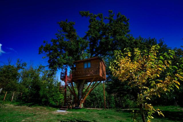 Casa sull'albero Bocchineri