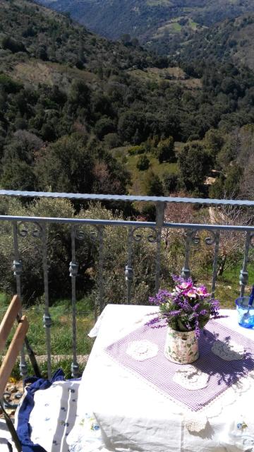 Stellaria casa vacanze in montagna panorama stupendo Sardegna