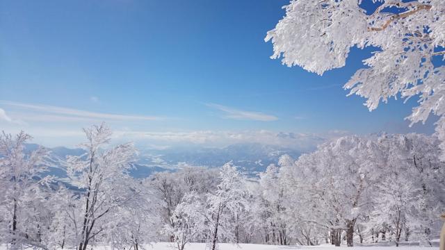 Nozawa Dream