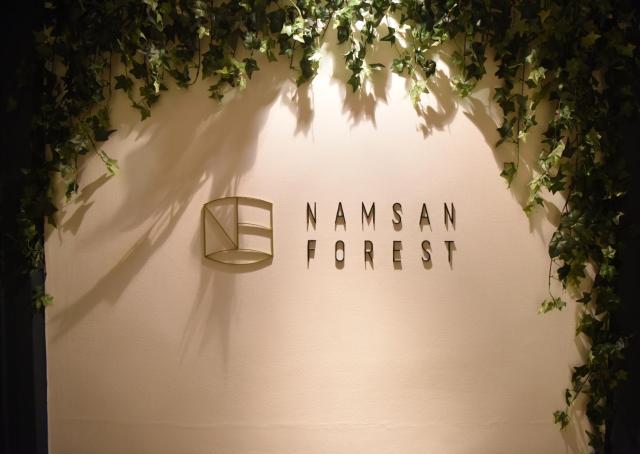 Namsan Forest in Myeongdong