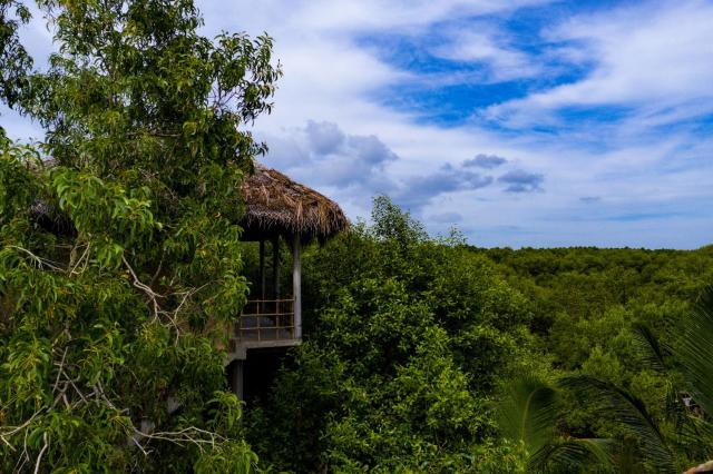 Mermaid Cabana and Tree Houses