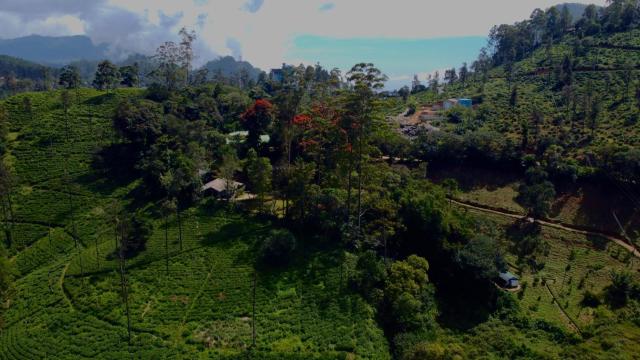 SunnySide Lodge - Tea Plantation Bungalow