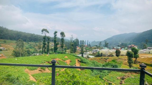 Venus Inn Nuwara Eliya