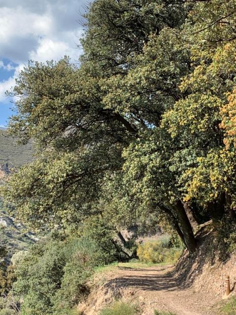 El Huerto de Lobras