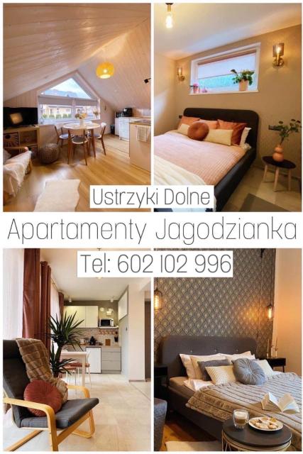 Apartamenty Jagodzianka - Jacuzzi, Sauna, Tężnia solankowa