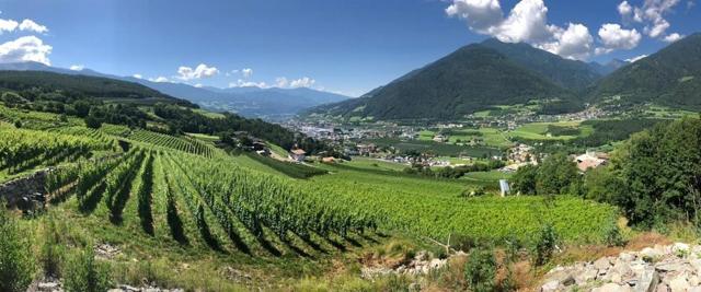 BUEHLERHOF Agriturismo, Obst-&Weingut, Urlaub mit Hund, Pferde, Bauernhof, Brixen