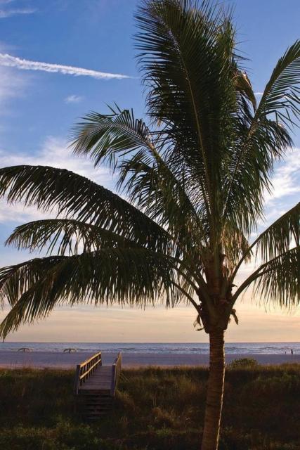 Residence Inn by Marriott St. Petersburg Treasure Island