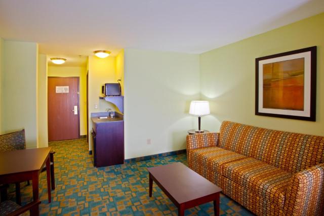 Holiday Inn Express Hotel & Suites Thornburg-S. Fredericksburg, an IHG Hotel