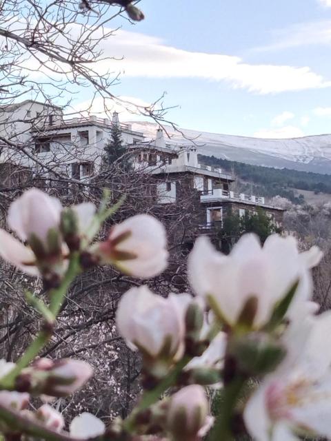 La Posada del Altozano