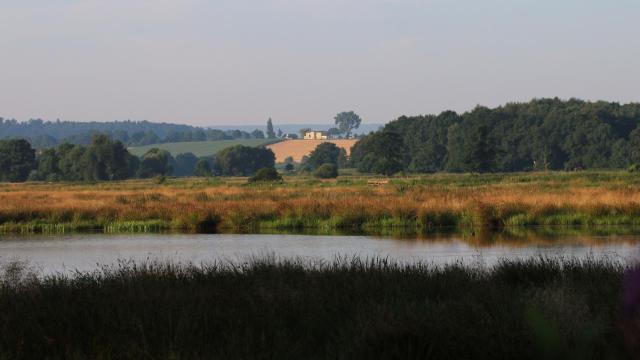 Landsitz Kapellenhöhe, Hotel Garni