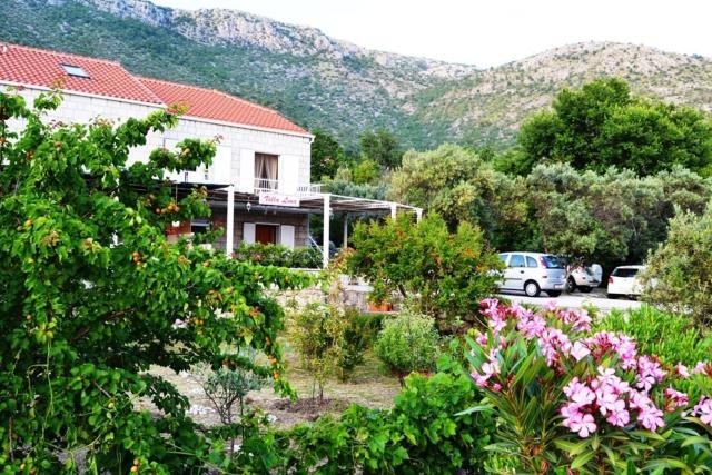 Apartments with a parking space Brsecine, Dubrovnik - 8548