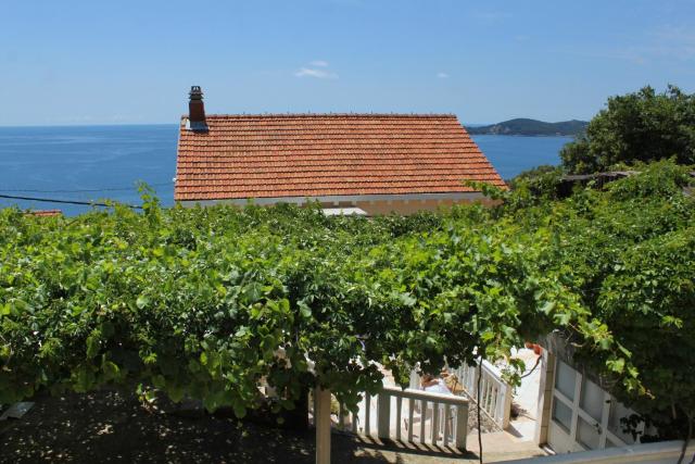 Apartments with a parking space Vrbica, Dubrovnik - 9008