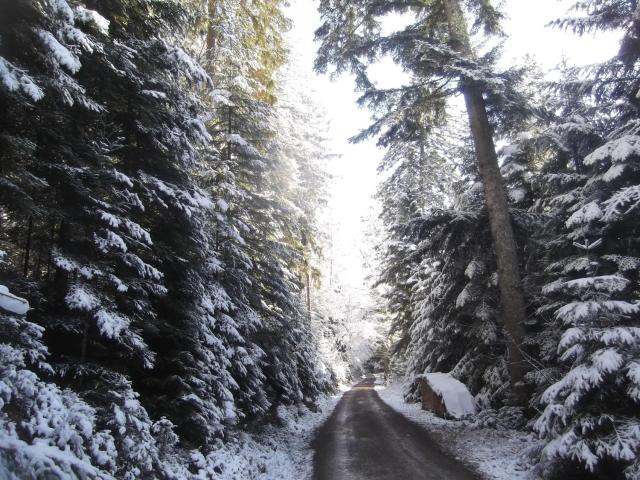 Schwarzwald-Gasthof Hirsch