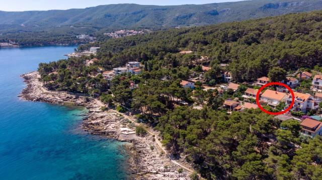 Apartments by the sea Jelsa, Hvar - 8747