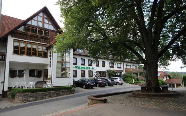 Hotel Waldblick BSR mit kostenlose Bonuskarten für Schifffahrten, Thermen, Museen ab 2 Nächte