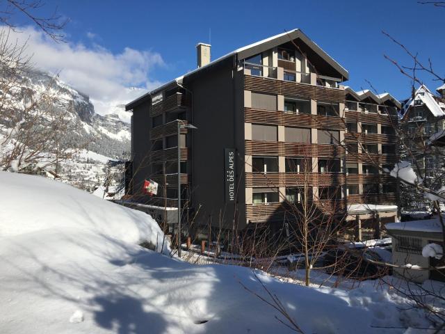 Hotel des Alpes