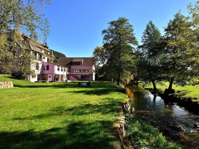 Logis Hotel Des Vosges