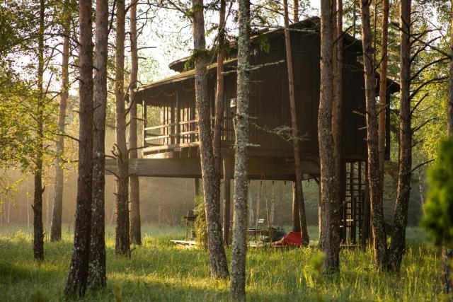 Sambliku Treehouse