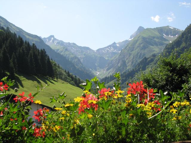 Ferienparadies Spielmannsau