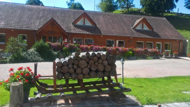 Logis Hôtel Restaurant La Petite Auberge Alsace