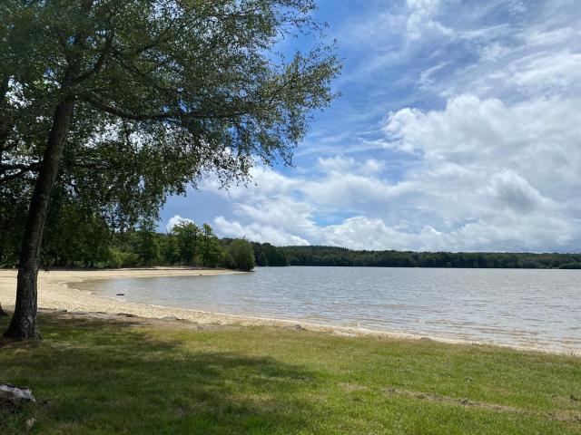 Camping de la Forêt Seasonova