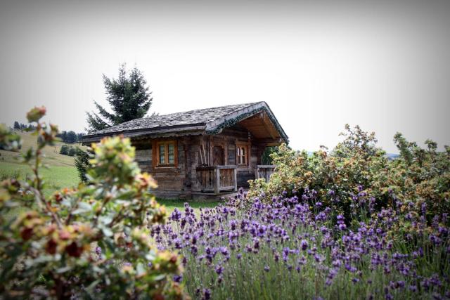 Hôtel Le Manoir des Montagnes