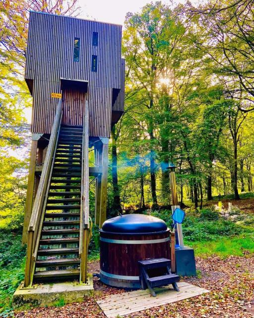 L'étape en forêt