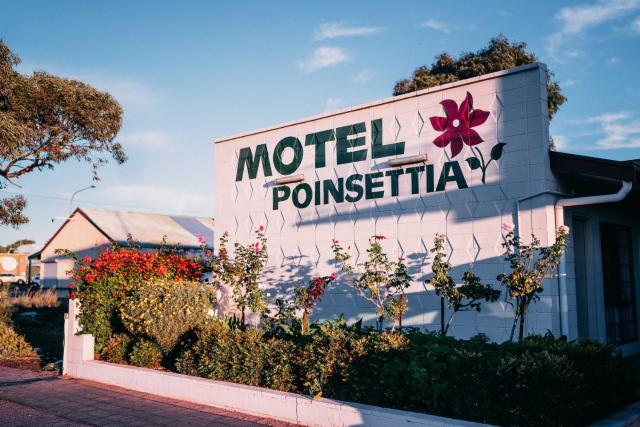 Motel Poinsettia