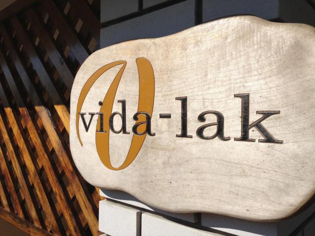 Vida-lak