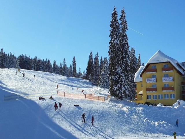 Burg Hotel Feldberg