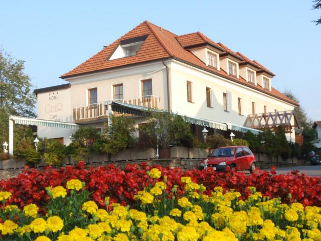 Hotel Geier