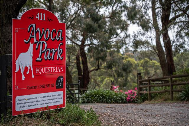 Avoca Park Equestrian Farmstay