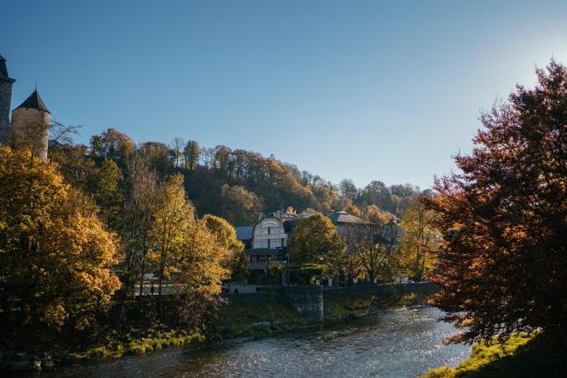 Hotel Sanglier