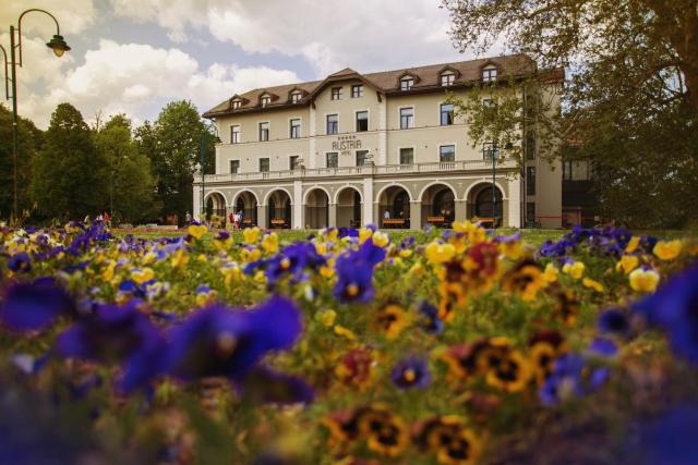 Hotel Austria & Bosna