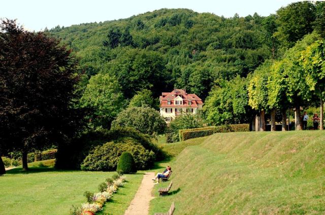 Rhön Hotel Waldcafé St. Georg