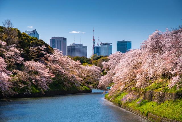 Four Seasons Hotel Tokyo at Marunouchi