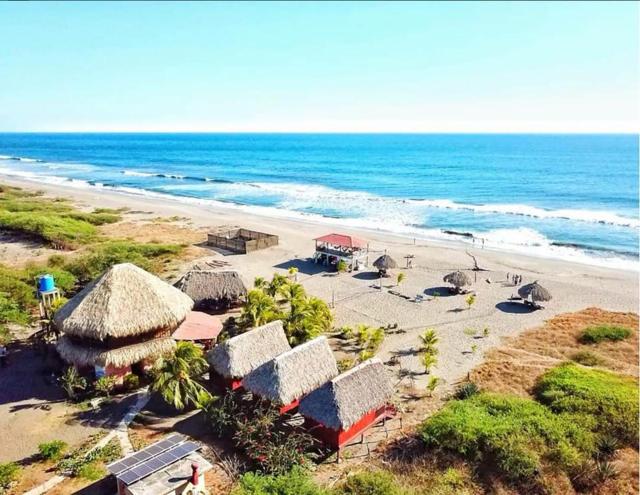 Surfing Turtle Lodge