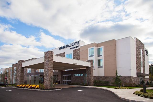 SpringHill Suites by Marriott Somerset Franklin Township