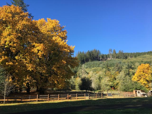 The Cabins at Beaver Creek