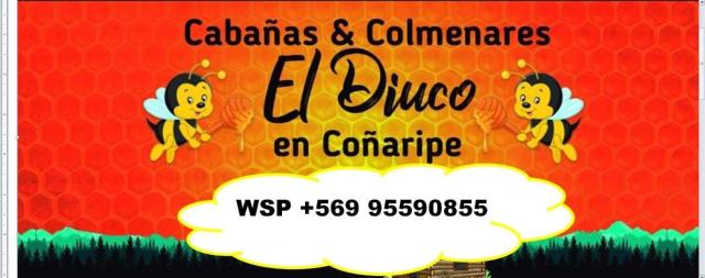 Cabañas El Diuco en Coñaripe 1