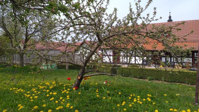 Pension Töpferhof